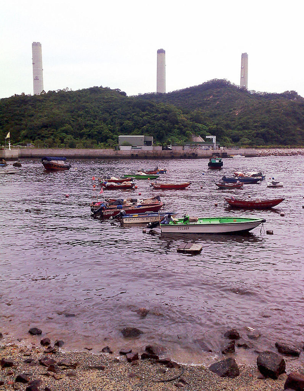 Are toxic algae blooms the same as red tides?
